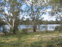 Lindsay Is.NP, billabong near Lindsay River