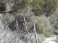 Milmed Tk Hermes Garden old fence posts