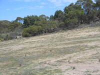 Milmed Tk Hermes Garden slope on cleared area