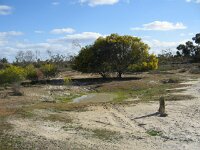 Milmed Tk, Pigeon Springs
