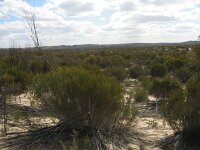 Milmed Tk, Round Swamp campsite 2