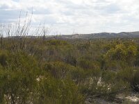 Milmed Tk, Round Swamp campsite 4