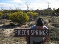 Milmed Tk, Terry at  Pigeon Springs