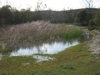 Milmed Tk, just past Pigeon Springs