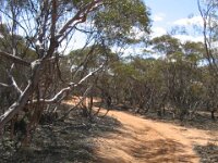 Millewa-MopokeTk,1