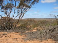 Mopoke hut Tk , mopoke hut, scrub 1