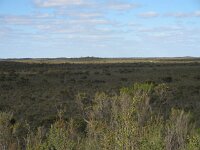 Pertendi Tk, heathlands 1