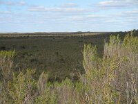 Pertendi Tk, heathlands 2