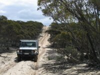 Wyperfeld NP