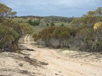 Wyperfeld track