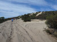 Clarence Track