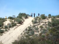 Top of Big Dune