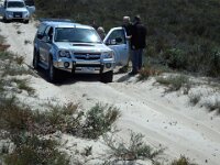 Bogged