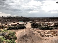 Lake Crosbie