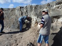 Salt Extraction
