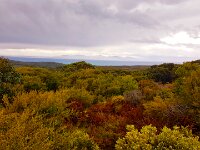 Cape Liptrapp : 2018, Wilsons Promontory, Waratah Bay
