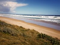 Waratah Bay Beach : 2018, Wilsons Promontory, Waratah Bay