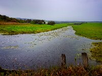 Waratah Bay Flood Area Adj : 2018, Wilsons Promontory, Waratah Bay