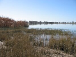 IMG_0284