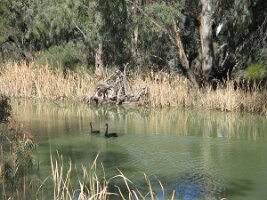 IMG_0296