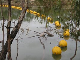 IMG_0305