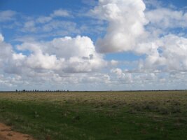 IMG_0339