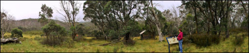 McNamaras Hut Surroundings