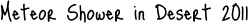 Meteor Shower in Desert 2011