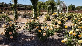 20201012_102348