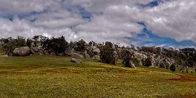 Pano