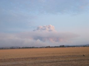 Picture 015