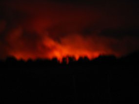 Picture 021