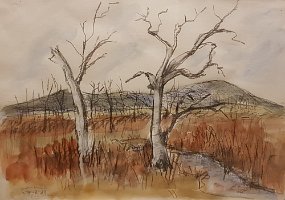 Winton Wetlands