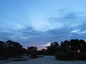 IMG_0001