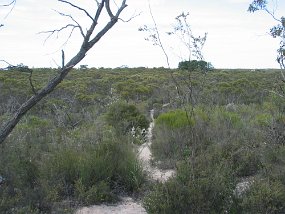 IMG_0006