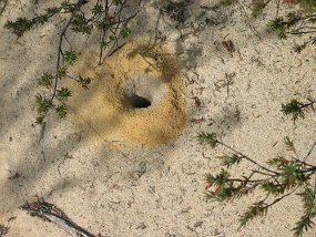 IMG_0007
