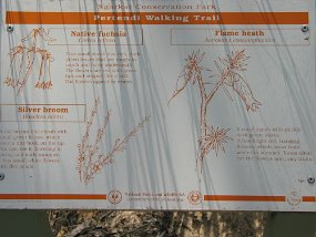 IMG_0008
