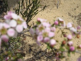 IMG_1896