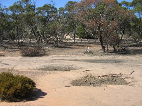 IMG_1916