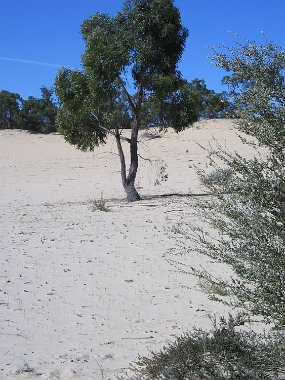 IMG_1919