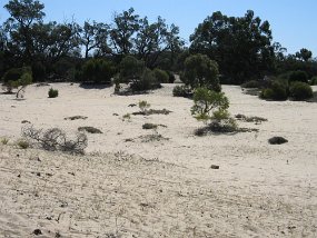 IMG_1921