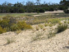 IMG_1922