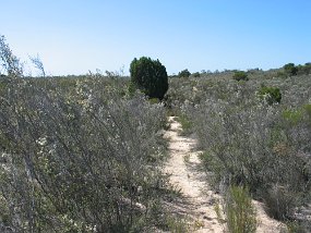 IMG_0027