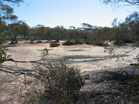 IMG_0035
