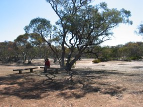 IMG_0037