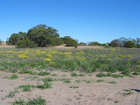 IMG_0039