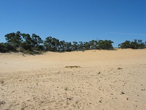 IMG_0041
