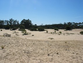 IMG_0043
