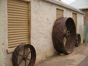 IMG_1946