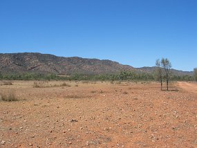 IMG_0098